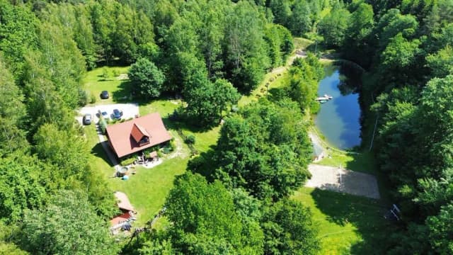 Gdzie na grzyby z noclegiem - odkryj idealne miejsca na wypoczynek Gdzie na grzyby z noclegiem - odkryj idealne miejsca na wypoczynek